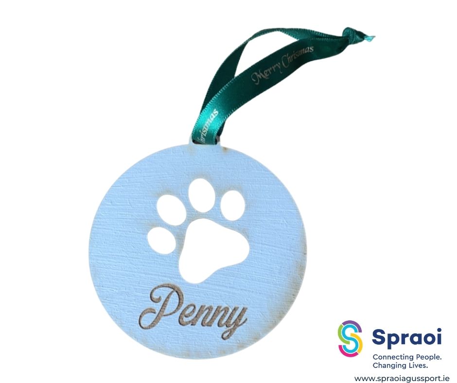 Pet Christmas Decoration